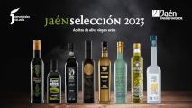 JAEN SELECCIÓN