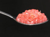 HUERTO GOURMET