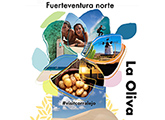 La Oliva Fuerteventura Norte